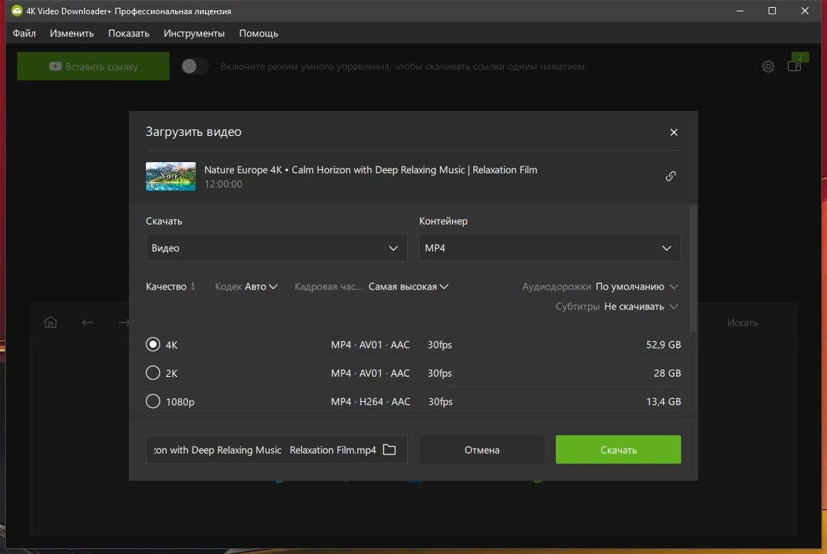 4K Video Downloader+ 26.1.0.0336 by Dodakaedr — изображение 3