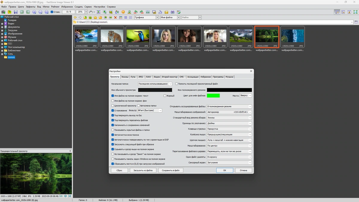 Вьювер, редактор и конвертор изображений FastStone Image Viewer 8.1 by KpoJIuK — изображение 3