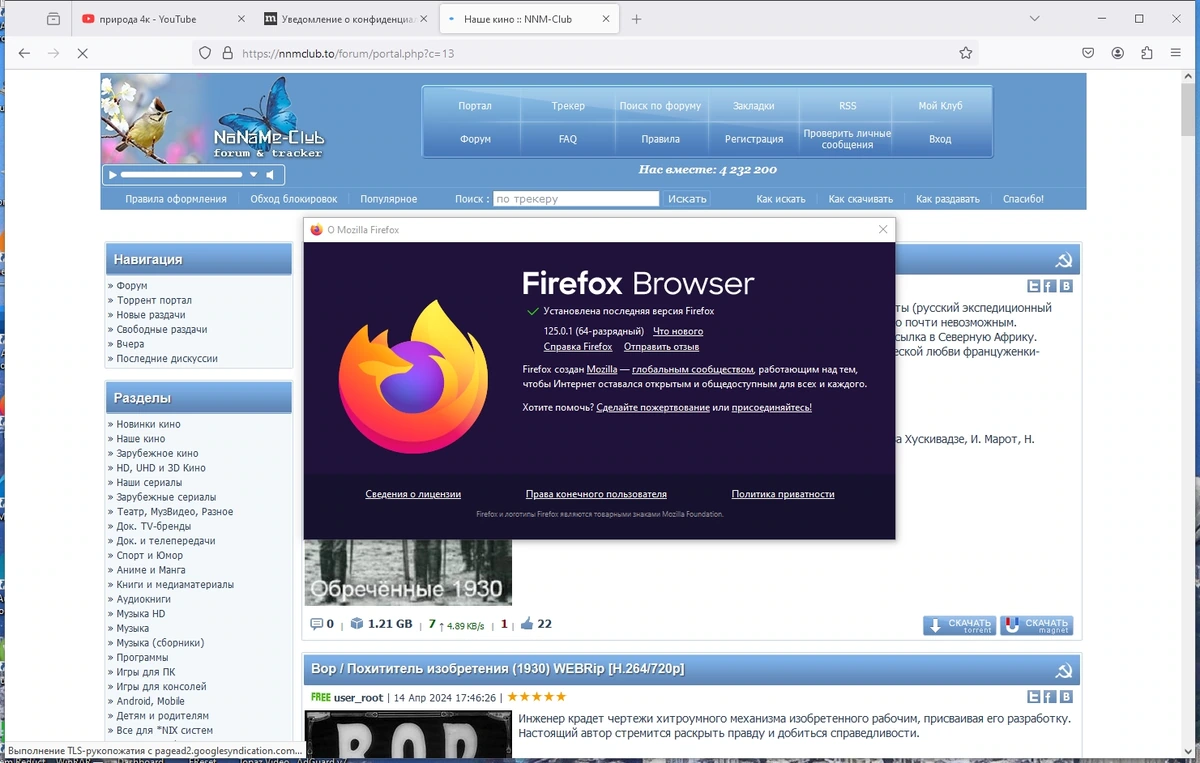Firefox Browser 125.0.1 (x86/x64) Portable by 7997 — изображение 3