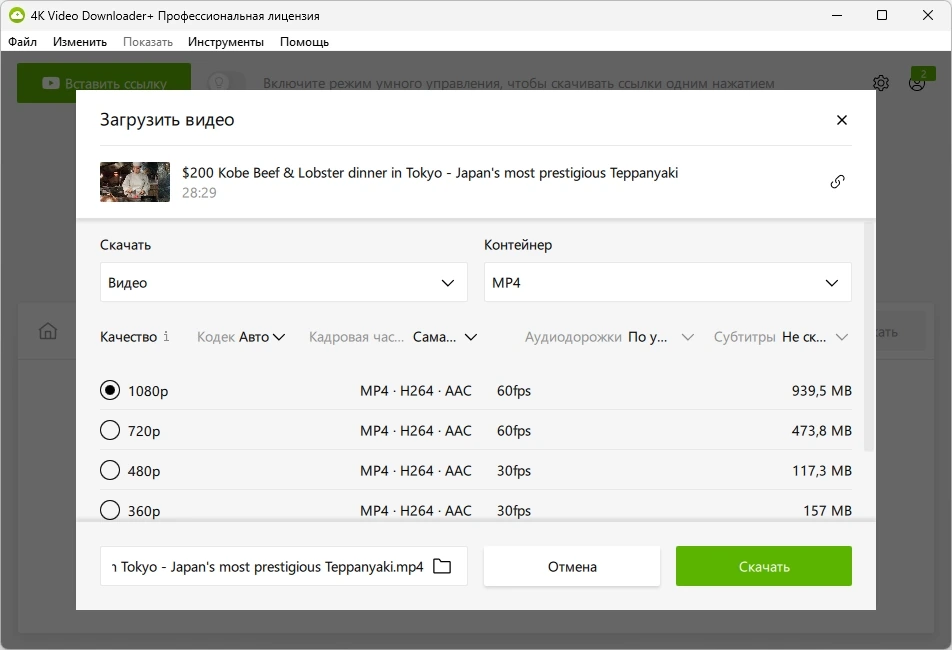 4K Video Downloader+ загрузчик качественного видео 25.0.0.0182 by elchupacabra — изображение 3