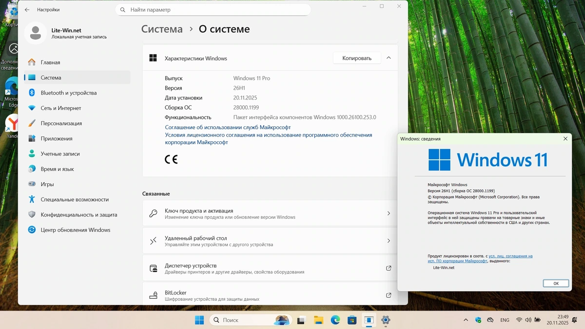 Windows 11 Pro 26H1 Build 28000.1199 Canary — изображение 3