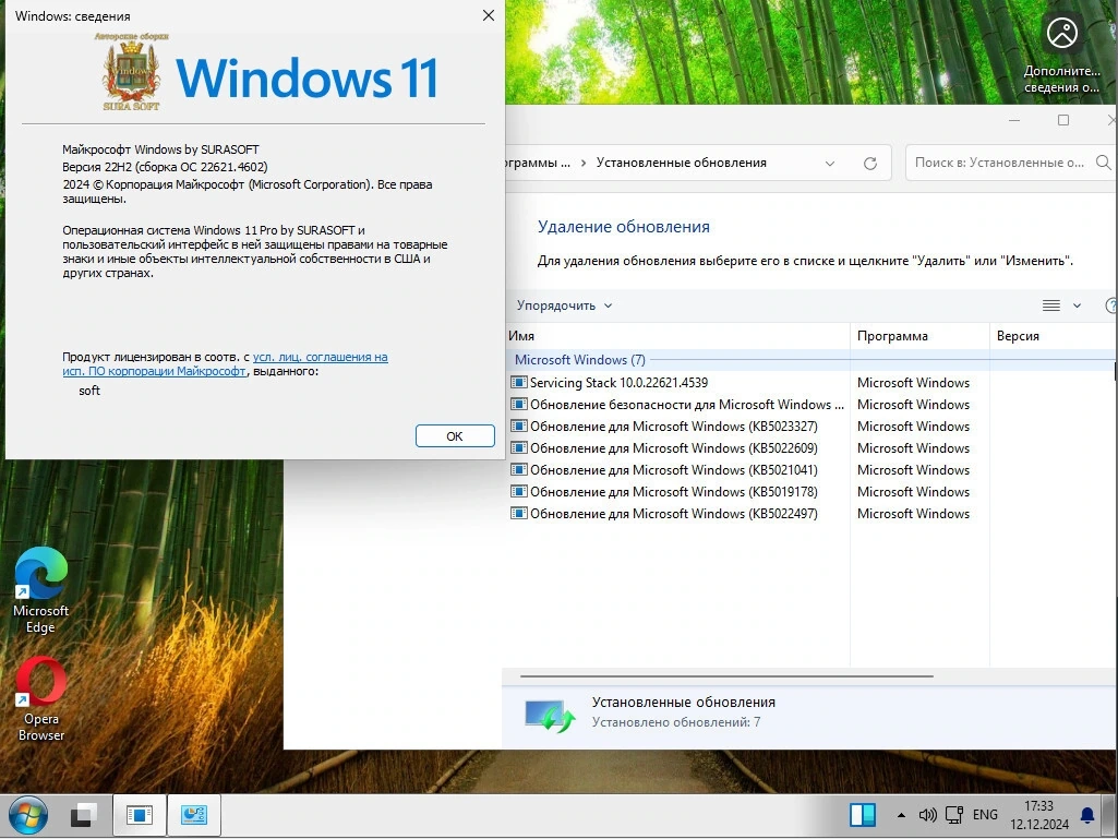 Windows 11 Русская 26100.2033_22261_22361.4602.Mod by SURASOFT — изображение 3