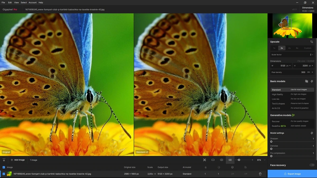 Большие изображения в хорошем качестве Topaz Gigapixel AI 8.1.1 RePack by KpoJIuK — изображение 3