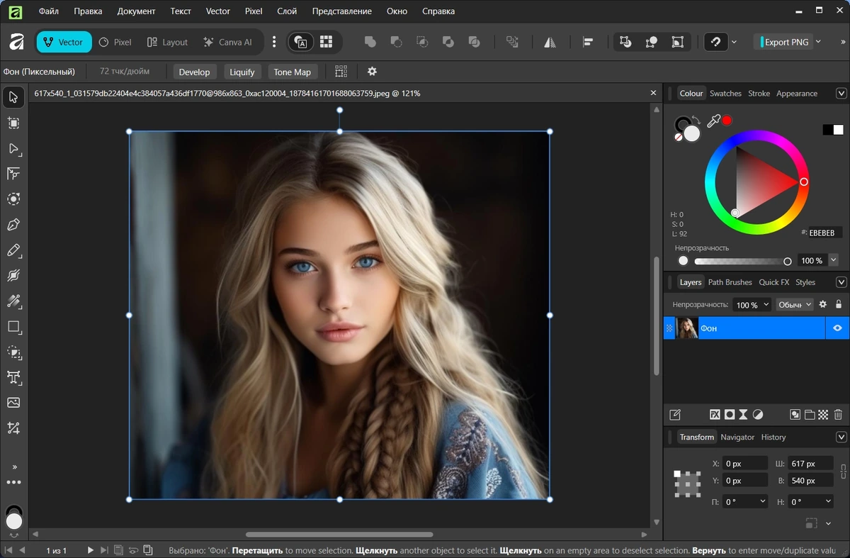 Canva Affinity 3.1.0.4231 by KpoJIuK — изображение 3