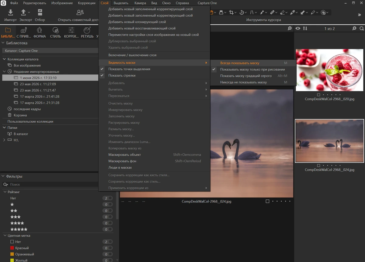 Capture One 23 Pro - Enterprise 16.8.0.3565 — изображение 3