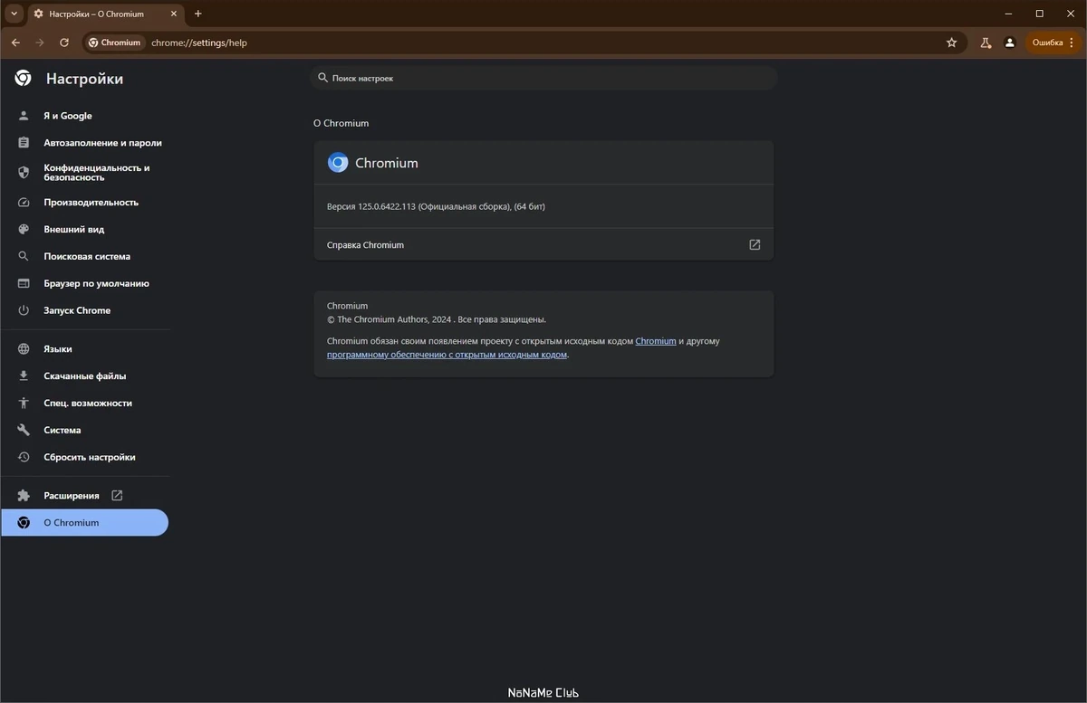 Chromium 125.0.6422.113 + Portable — изображение 3