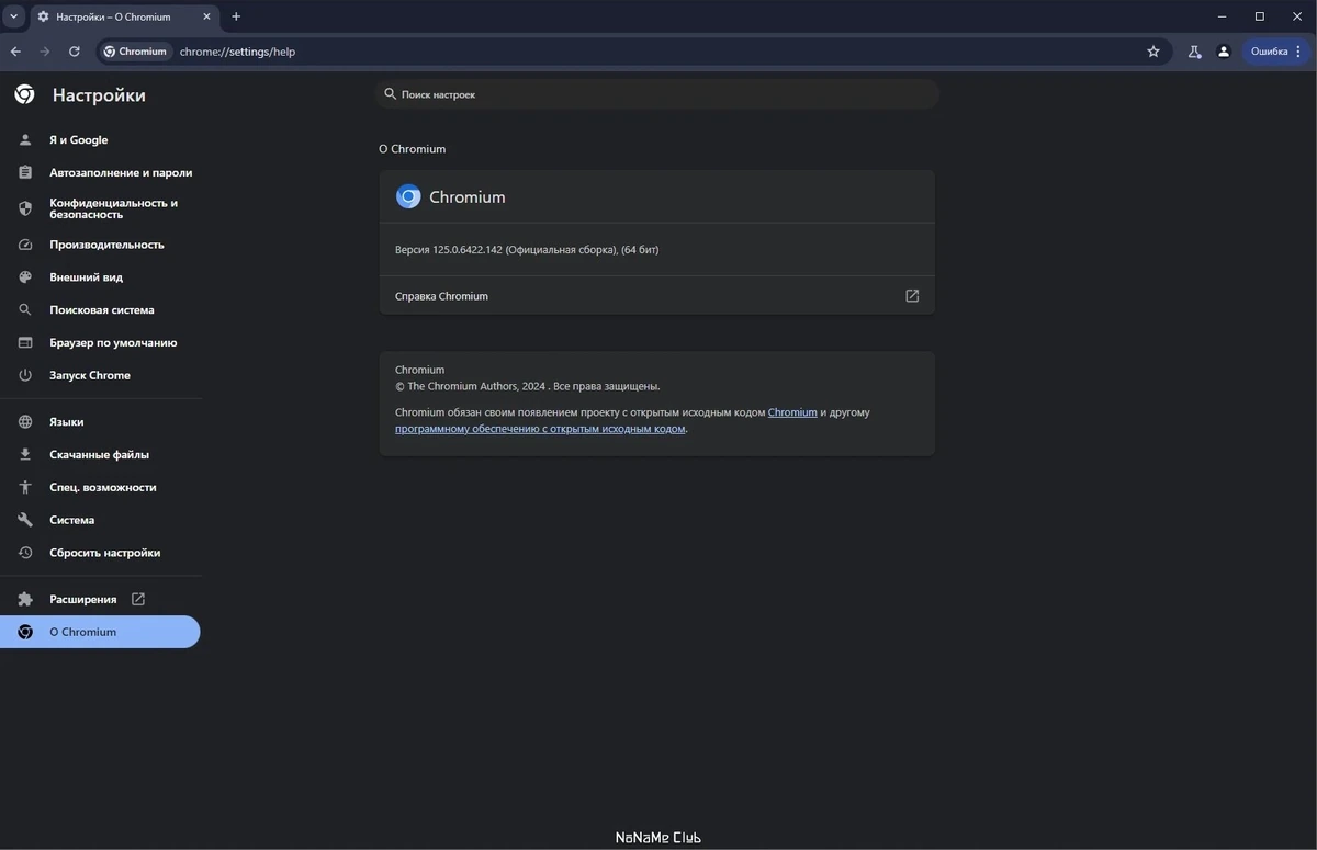 Chromium 125.0.6422.142 + Portable — изображение 3