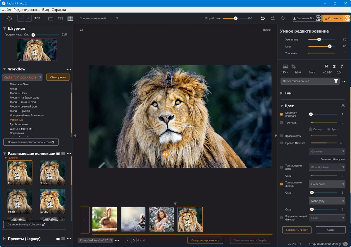 Цветокоррекция фото Radiant Photo 2.2.0.814 + Addons Pack — изображение 3