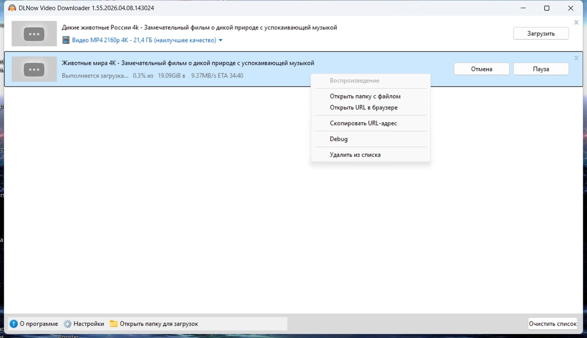 Загрузчик видео DLNow Video Downloader 1.55.2026.04.08 by elchupacabra — изображение 3
