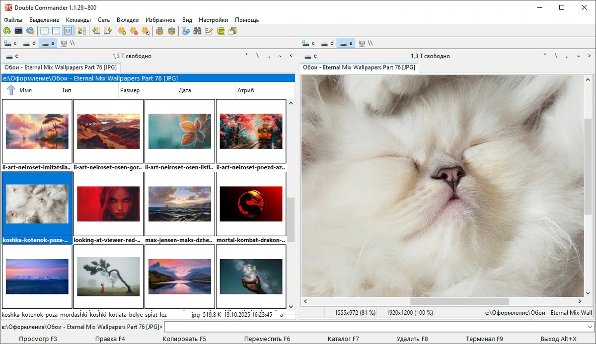 Файловый менеджер для Windows Double Commander 1.1.29 gamma + Portable — изображение 3
