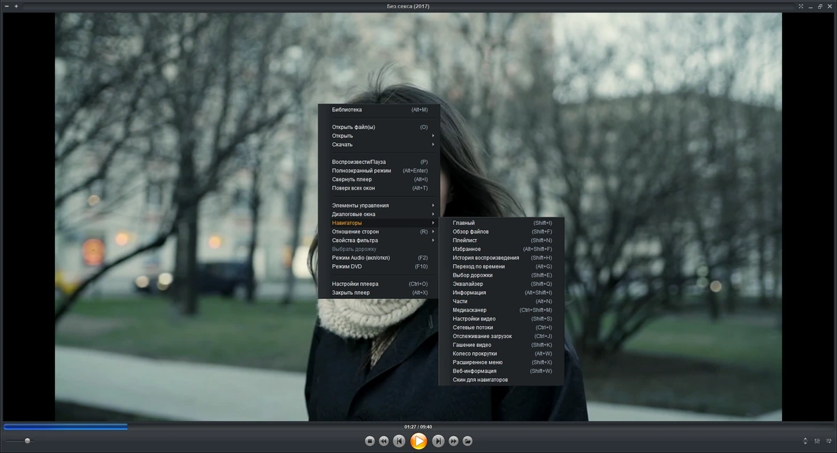 DVD-Blu-ray плеер Zoom Player MAX 19.5.1 Build 1951 Полная + Портативная версии by TryRooM — изображение 3
