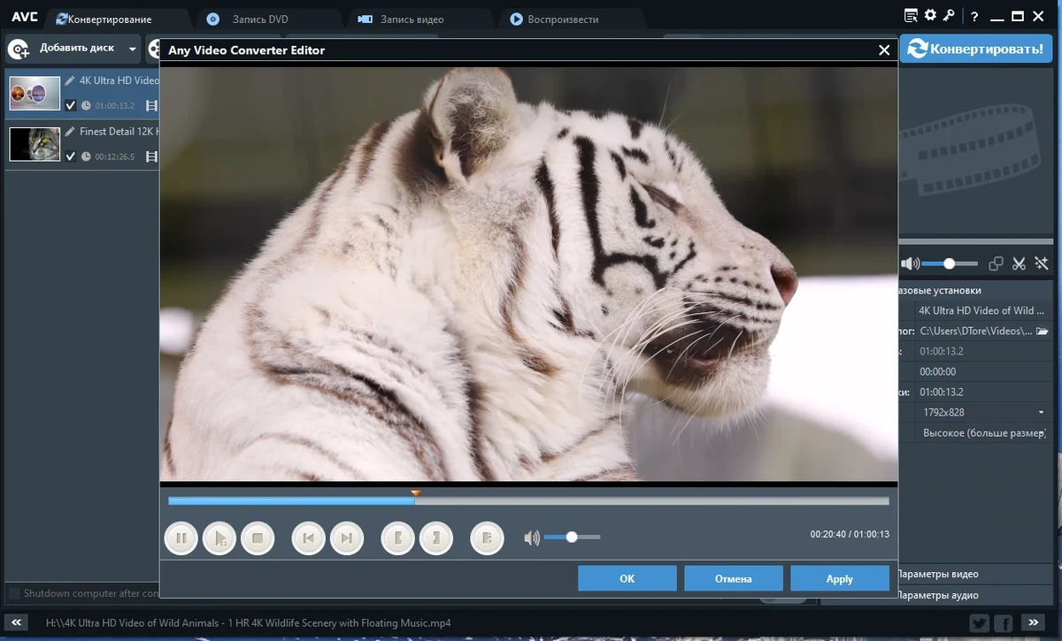 DVD риппер - Any Video Converter Ultimate 7.1.7 RePack (& Portable) by elchupacabra — изображение 3
