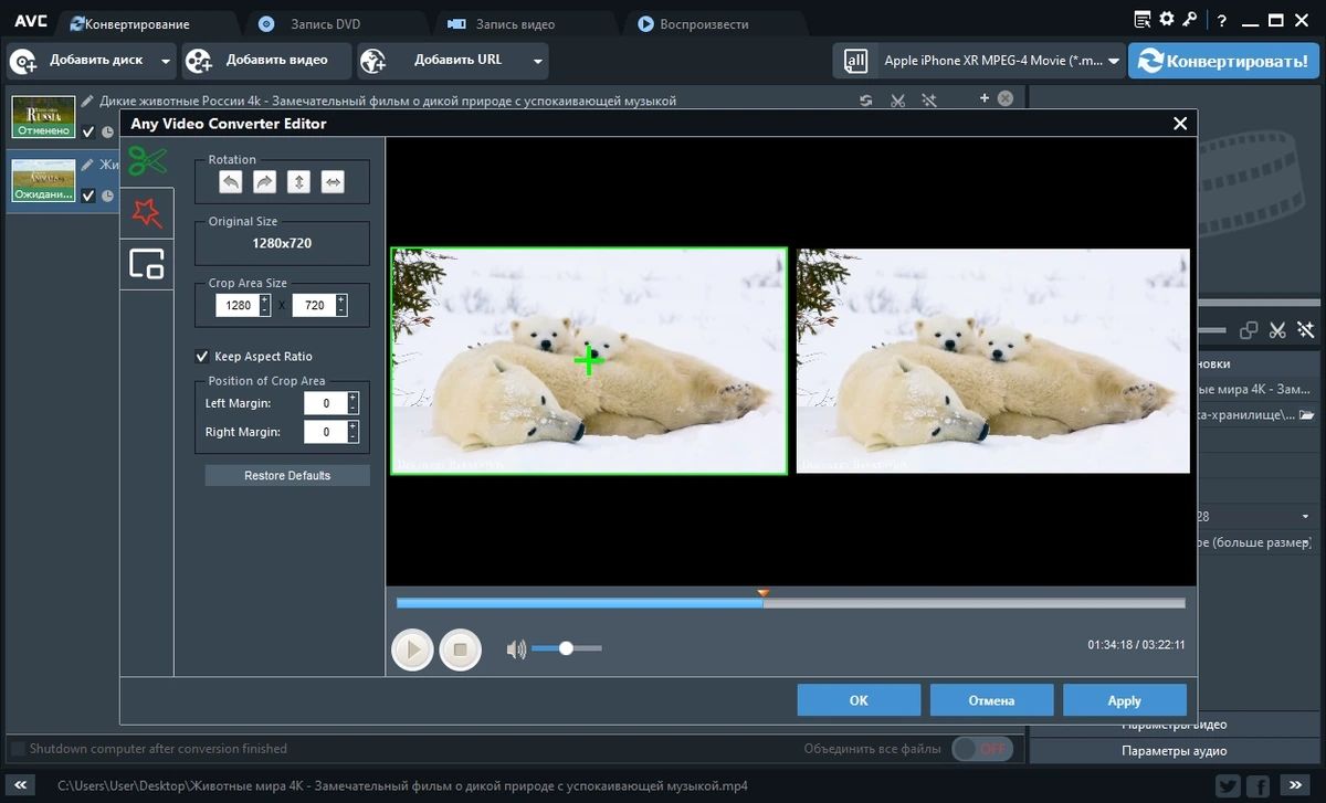 DVD риппер - Any Video Converter Ultimate 7.1.8 RePack by elchupacabra — изображение 3
