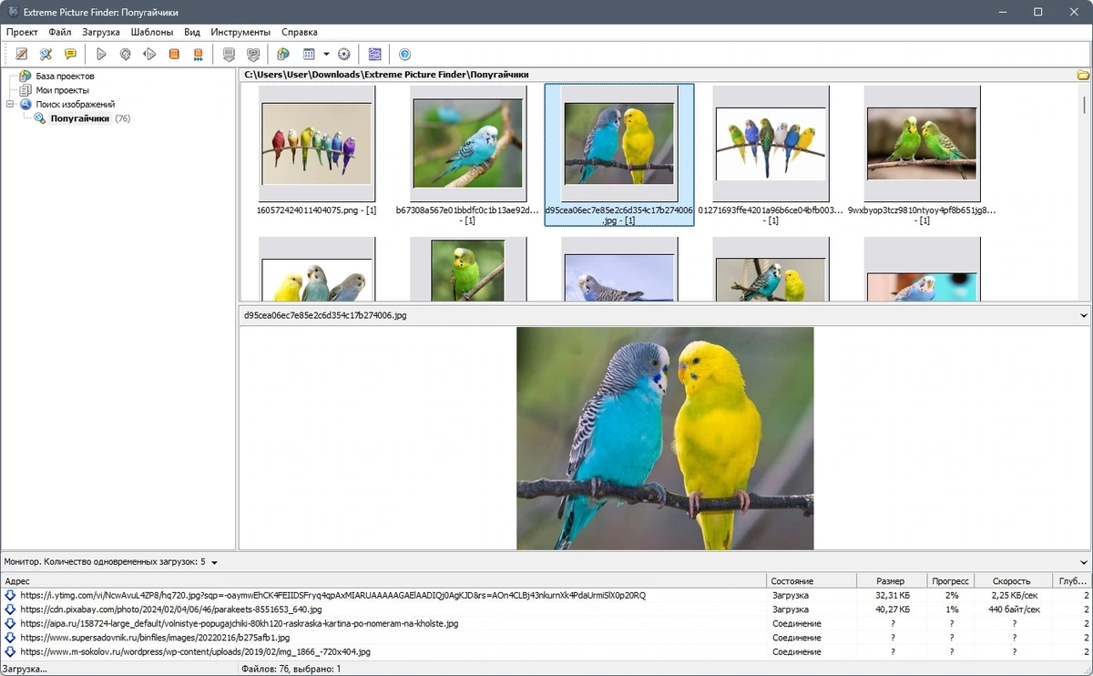 Extreme Picture Finder поиск файлов 3.66.12.0 by elchupacabra — изображение 3