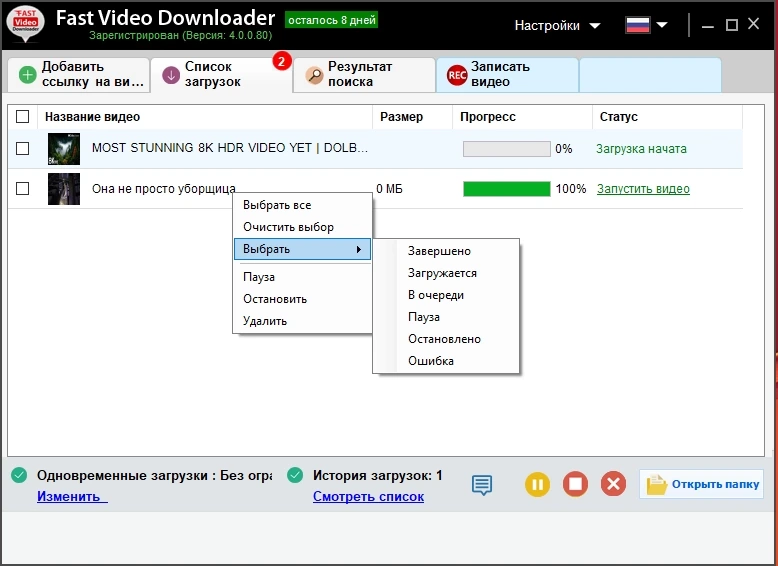 Загрузчик видеофайлов Fast Video Downloader 4.0.0.80 by elchupacabra — изображение 3