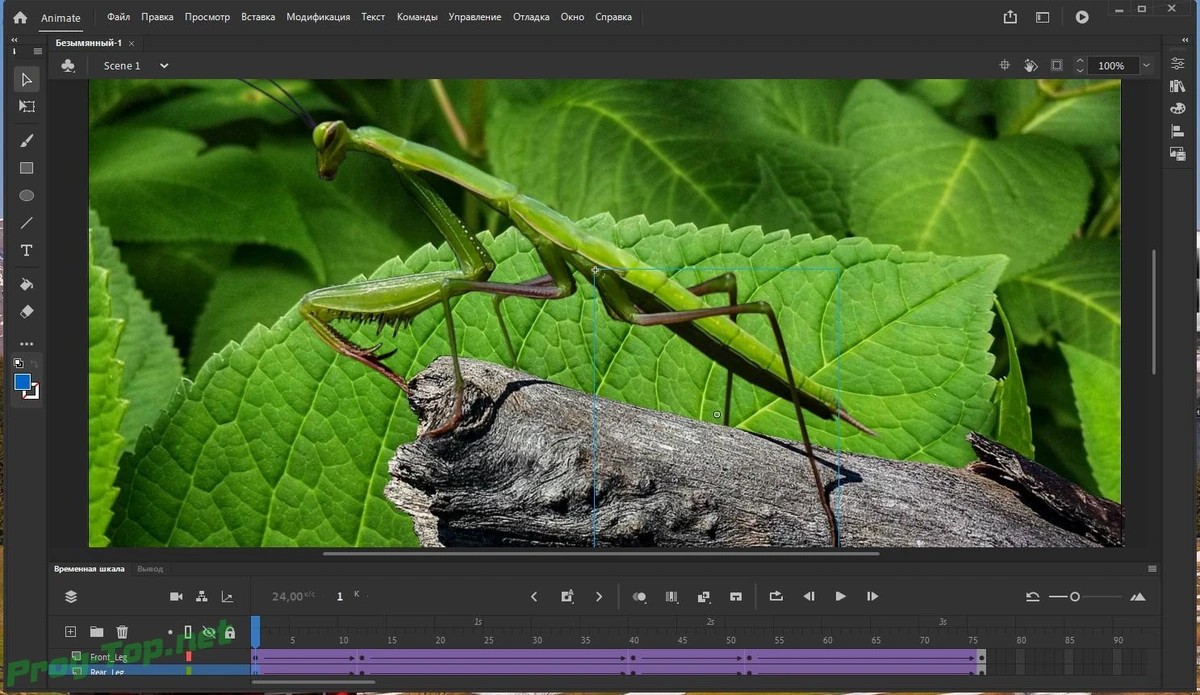 Adobe Animate создание мультимедиа анимации 2020 20.5.1.31044 RePack by KpoJIuK — изображение 3