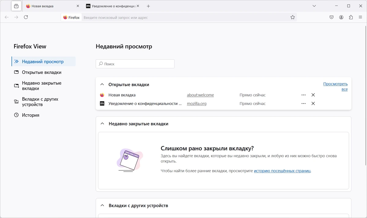 ПК браузер Firefox Browser 132.0.1 Portable by PortableApps — изображение 3