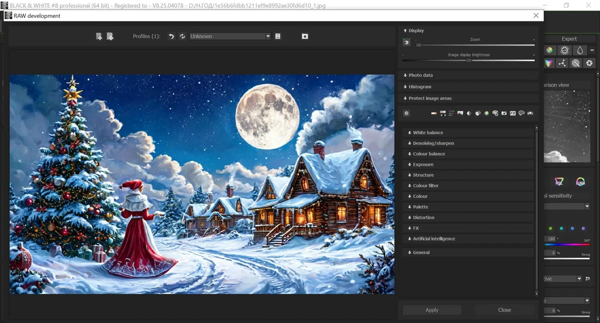 Фоторедактор Franzis BLACK & WHITE Pro 8.25.04078 Portable by Spirit Summer — изображение 3