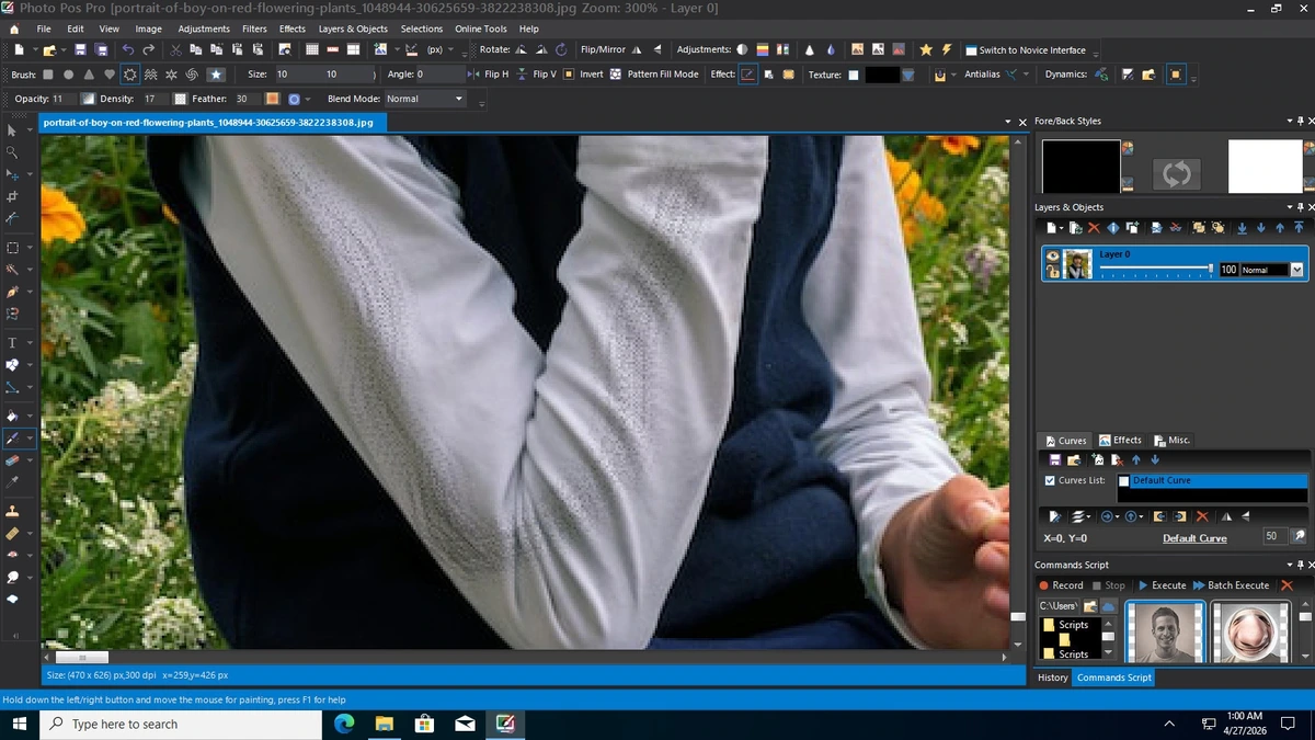 Фоторедактор Photo Pos Pro / Premium 4.20 Build 50 — изображение 3
