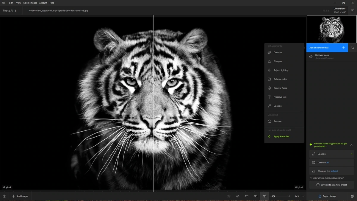 Фоторедактор Topaz Photo AI 3.2.2 RePack by KpoJIuK — изображение 3