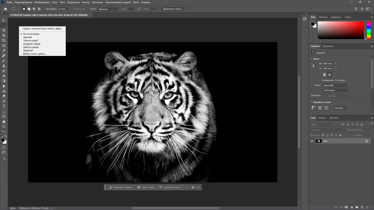 Фотошоп Adobe Photoshop 2025 26.8.1.8 Full by 7997 — изображение 3