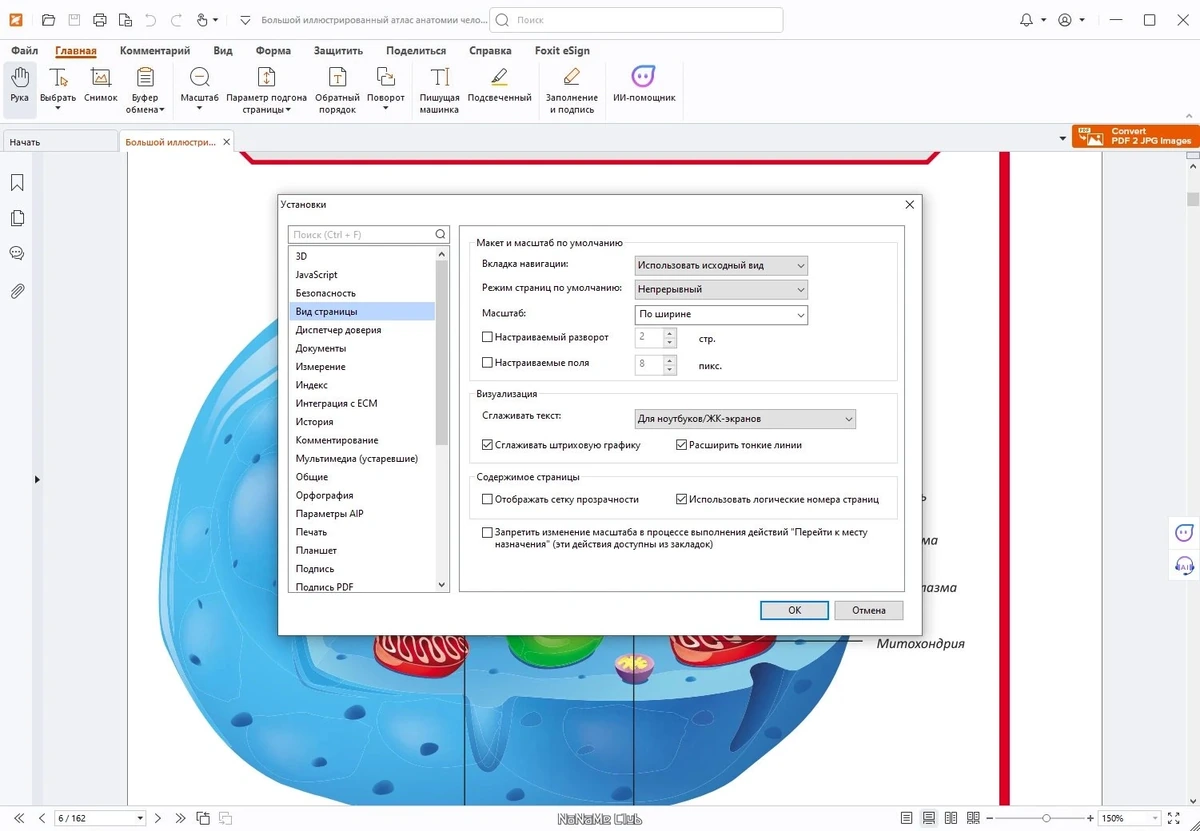 Foxit PDF Reader 2024.2.2.25170 — изображение 3