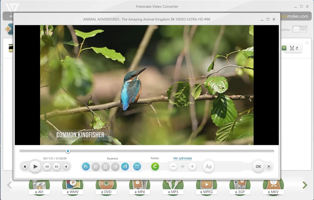 Freemake Video Converter 4.1.13.175 Полная + Портативная версии by elchupacabra — изображение 3