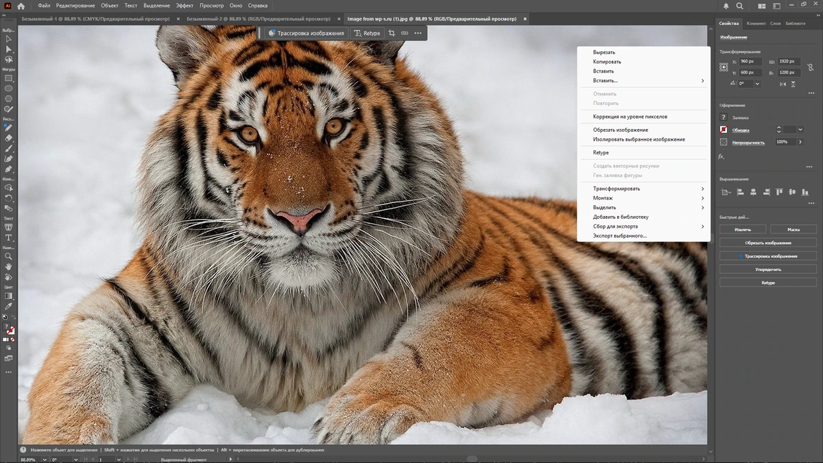 Adobe Illustrator обработка изображений 2025 29.8.2.3 by KpoJIuK — изображение 3