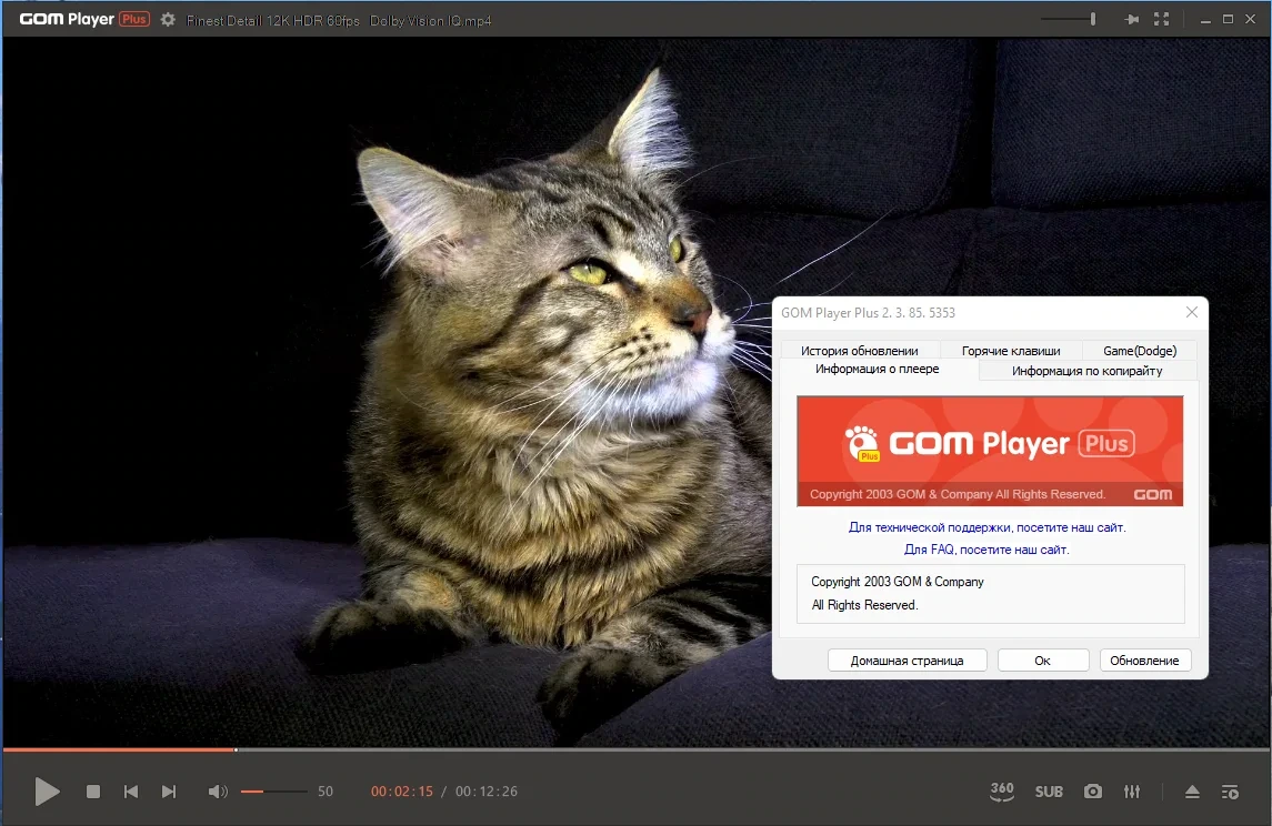 GOM Player Plus 2.3.85.5353 RePack (& Portable) by Dodakaedr — изображение 3