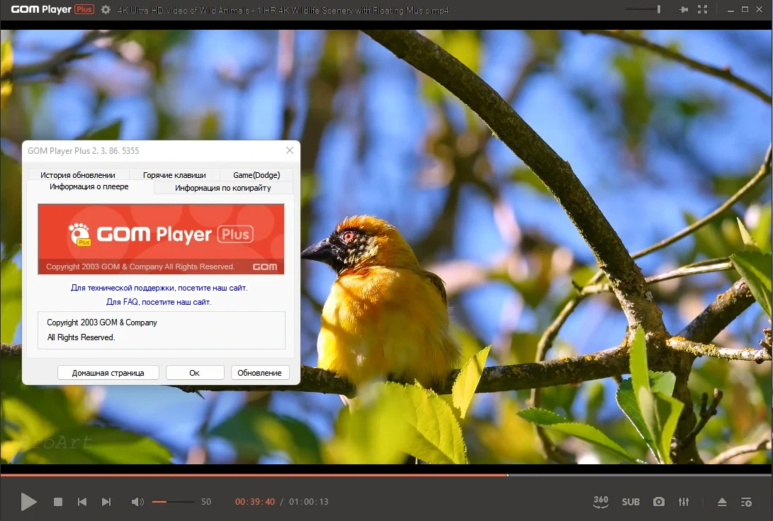 GOM Player Plus медиаплеер для Windows 2.3.86.5355 by Dodakaedr — изображение 3