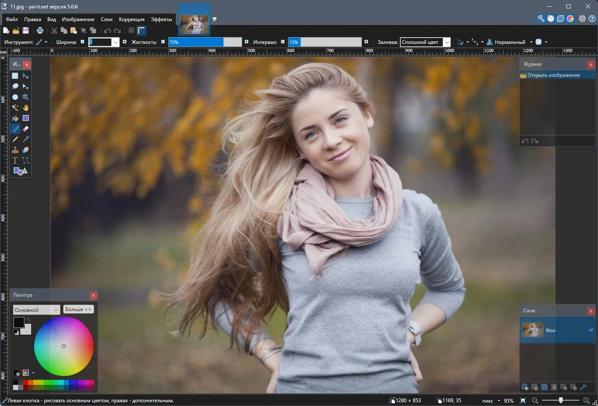 Графический редактор Paint.NET 5.0.6 Final + Portable — изображение 3