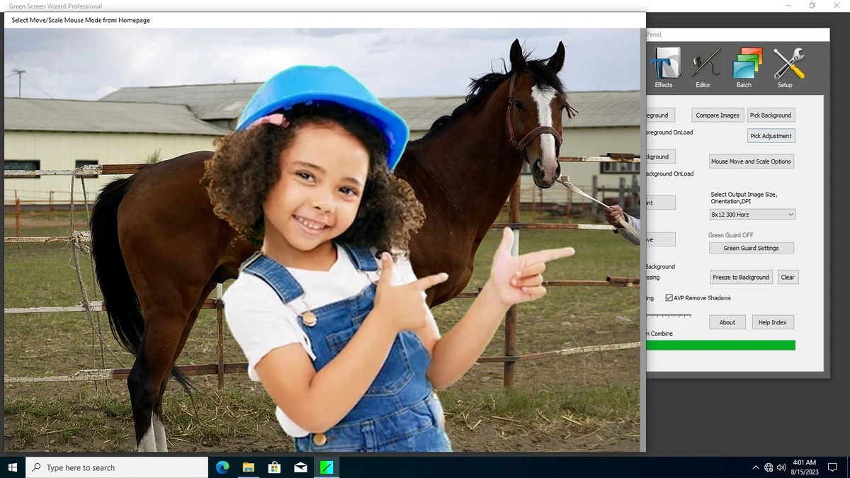 Green Screen Wizard Professional 12.2 — изображение 3