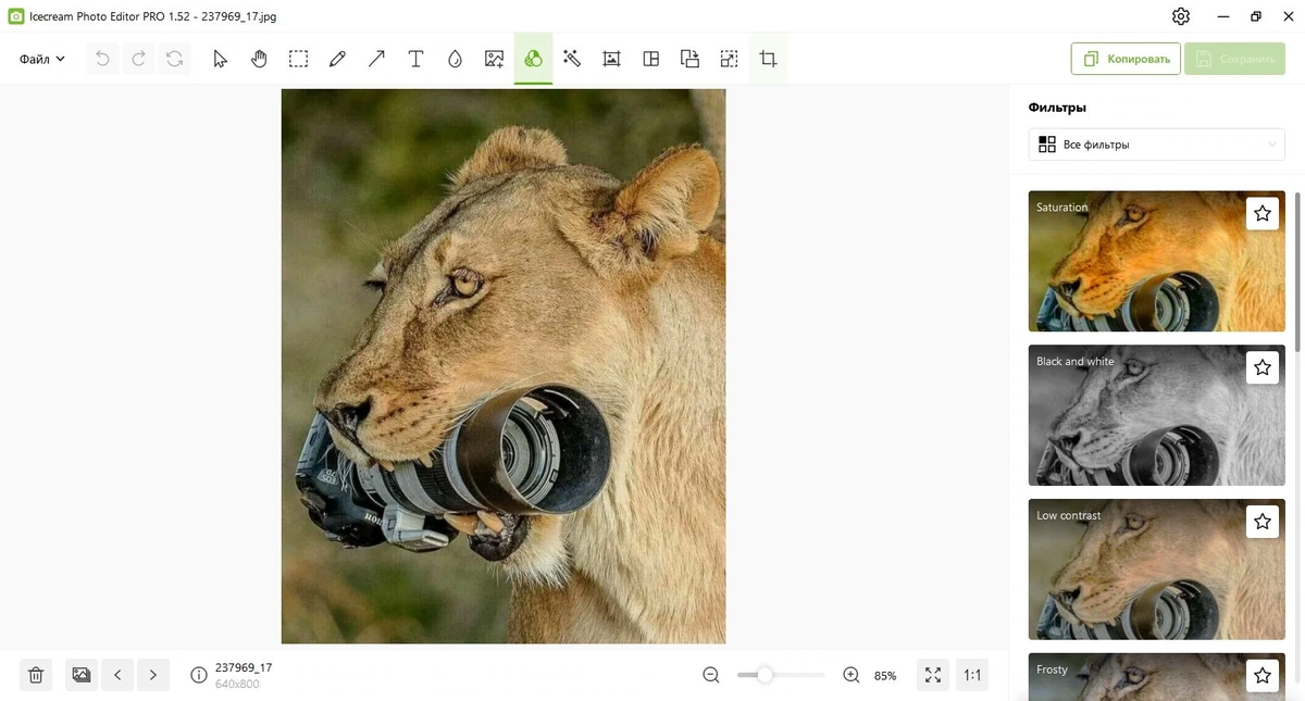 Редактор фотоснимков Icecream Photo Editor 1.52 by elchupacabra — изображение 3
