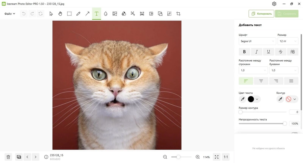 Icecream Photo Editor Pro 1.50 — изображение 3