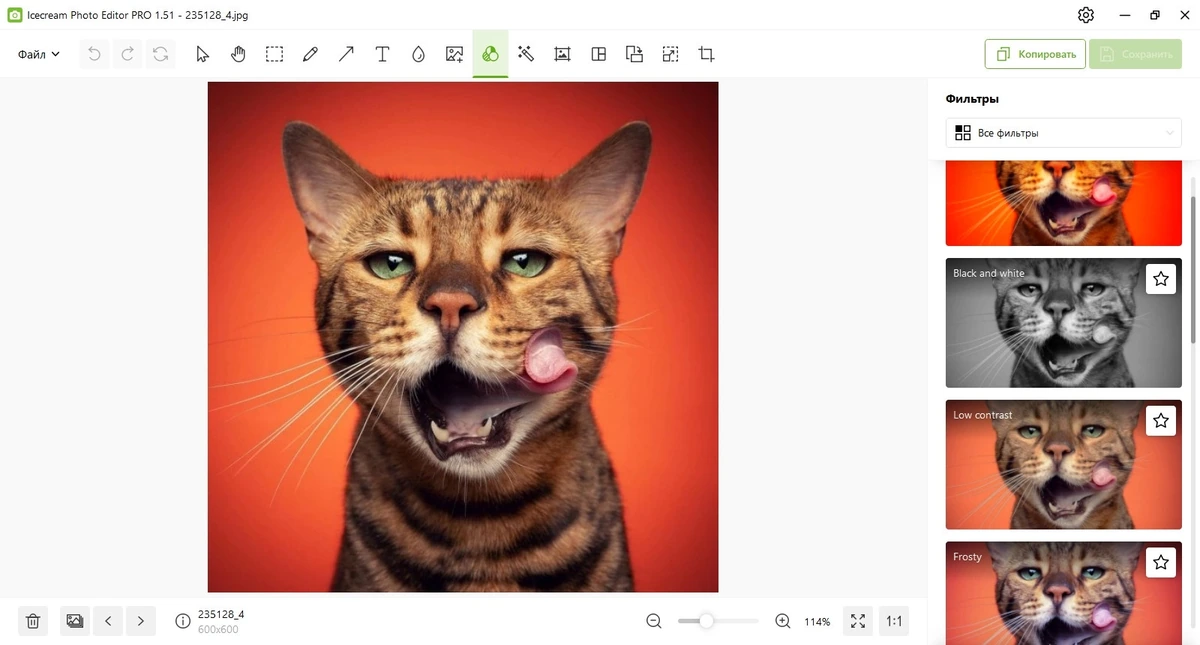 Icecream Photo Editor Pro 1.51 — изображение 3