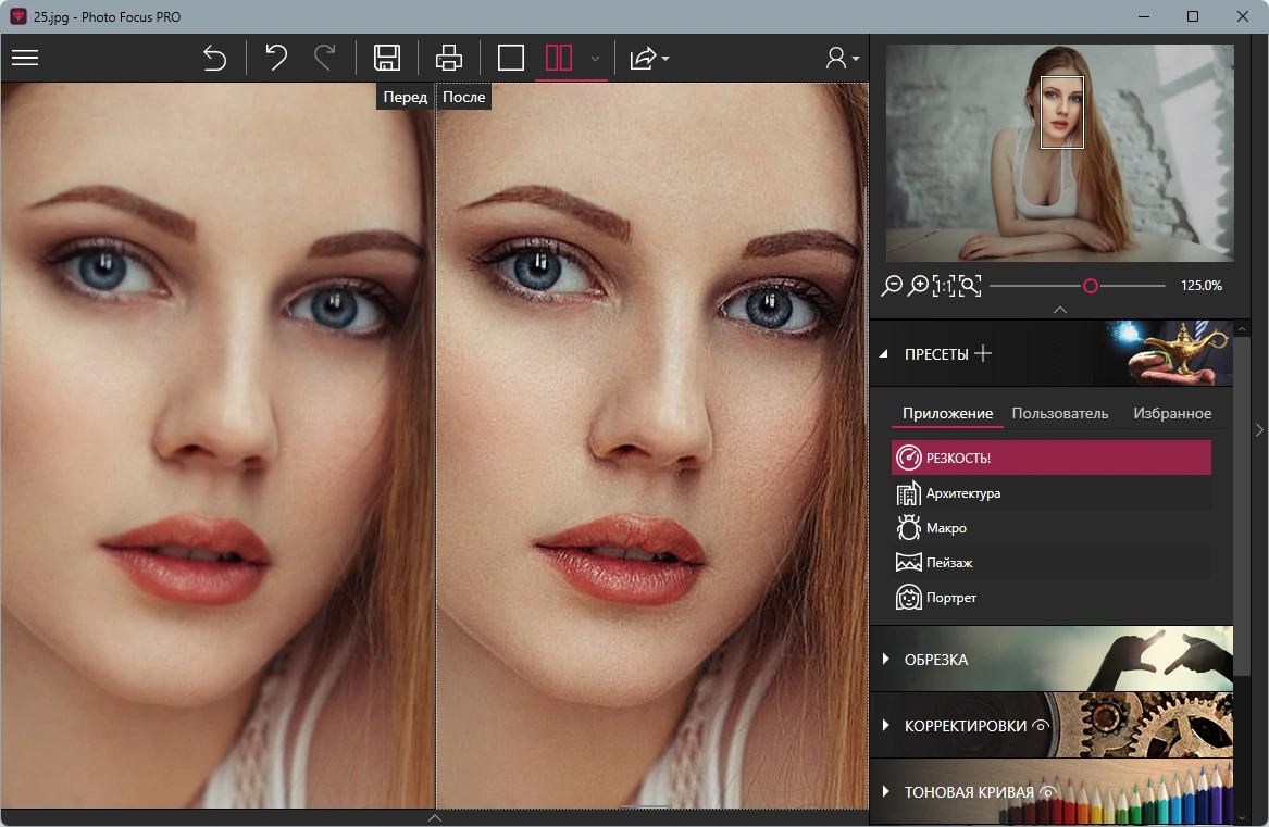 Улучшение фото inPixio Photo Focus Pro 4.3.8622 Полная + Портативная версии by TryRooM — изображение 3