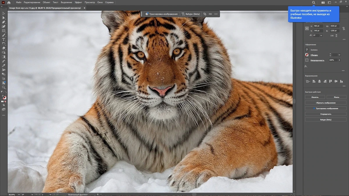 Редактор для дизайнеров Adobe Illustrator 2025 29.0.0.186 RePack by KpoJIuK — изображение 3