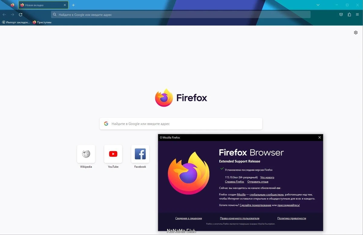Firefox Browser ESR 115.10.0 — изображение 3