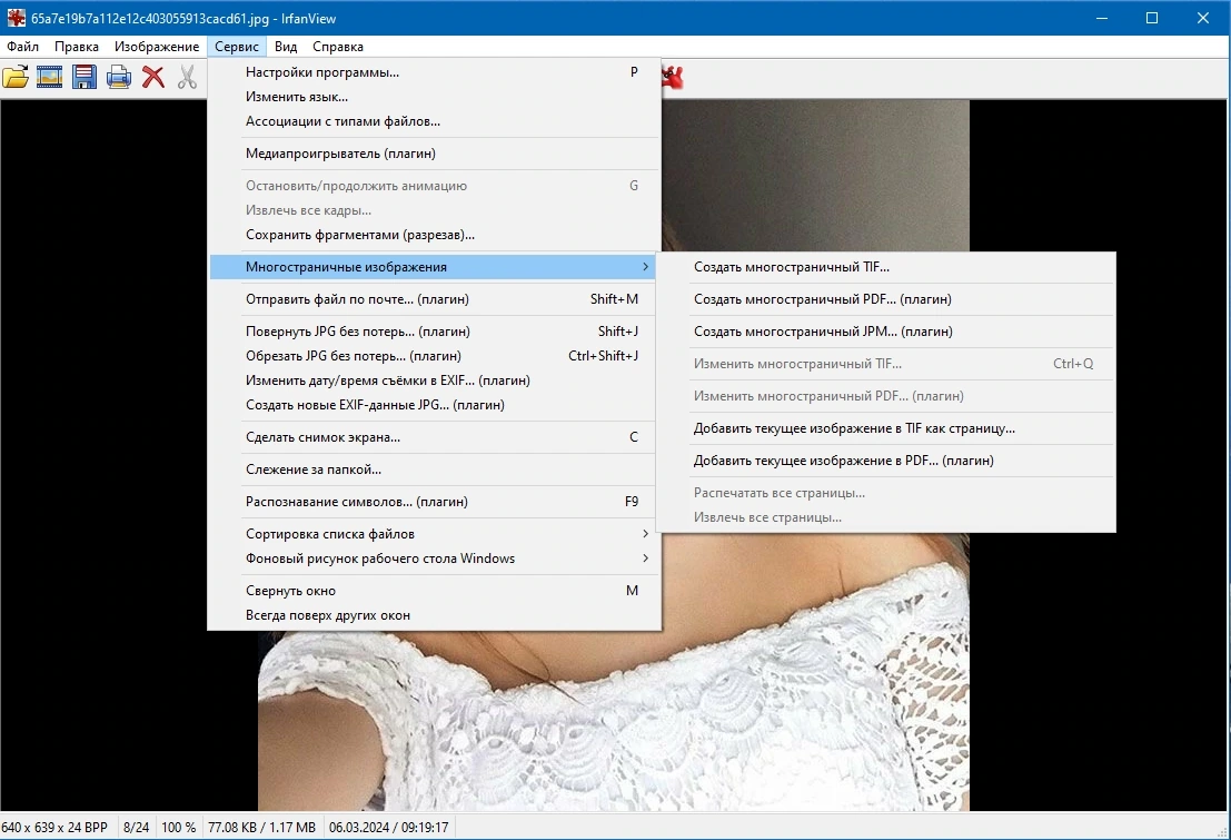 IrfanView 4.67 Полная + Портативная версии by KpoJIuK — изображение 3
