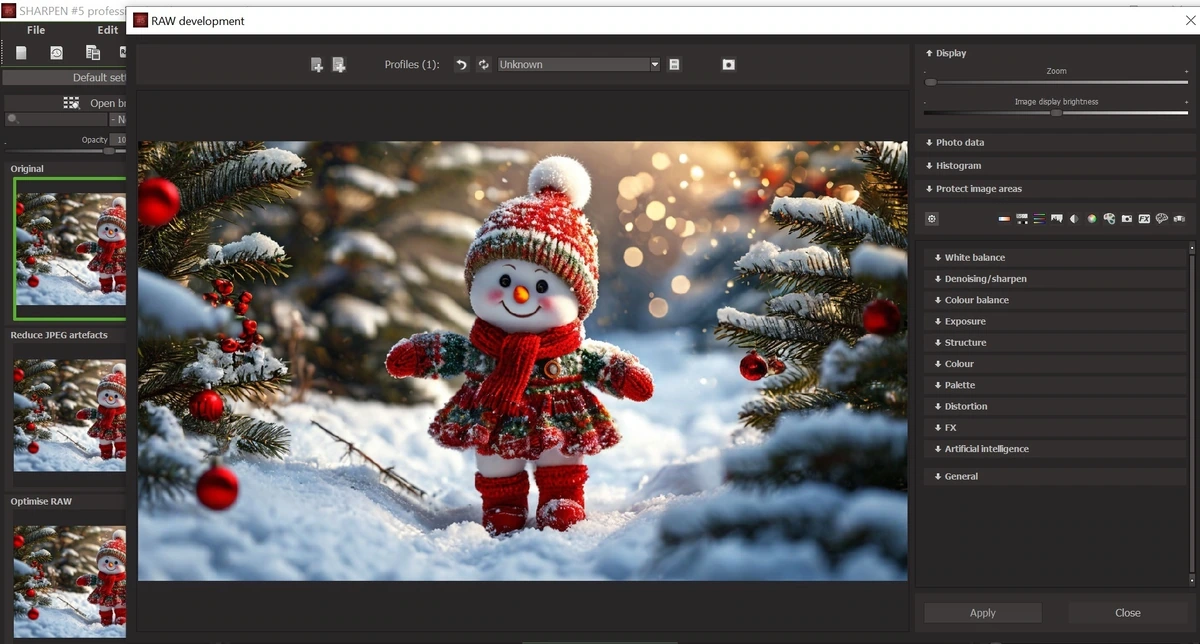 Исправление качества фото Franzis SHARPEN #5 Pro 5.41.03926 Portable by Spirit Summer — изображение 3