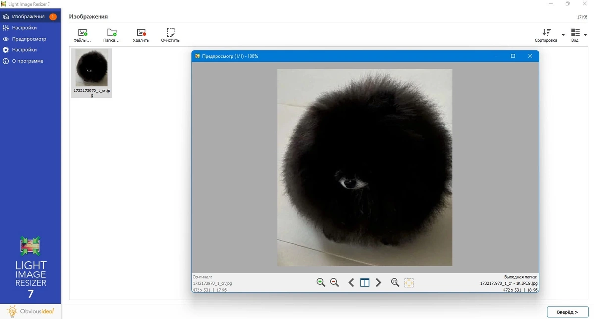 Изменение размеров картинок Light Image Resizer 7.1.2.63 — изображение 3