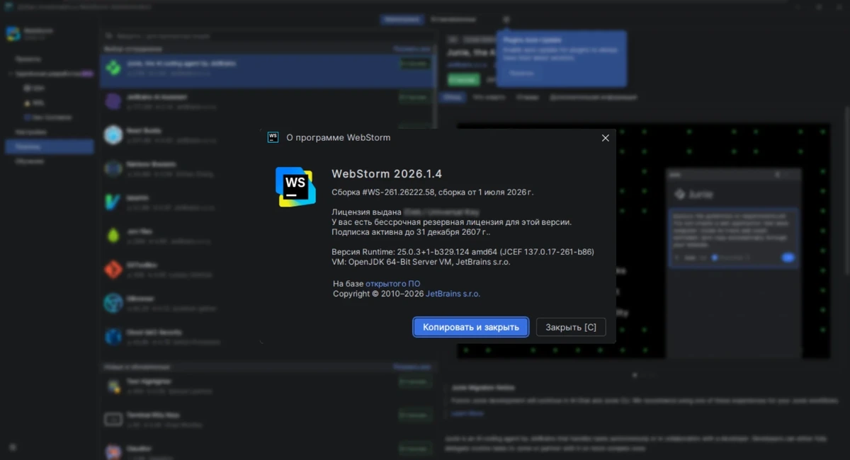 Разработка веб приложений Jetbrains WebStorm 2026.1.4 by IDE`a — изображение 3