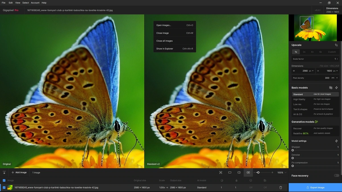 Качественное масштабирование фото Topaz Gigapixel AI 8.0.2 BETA Полная + Портативная версии by elchupacabra — изображение 3