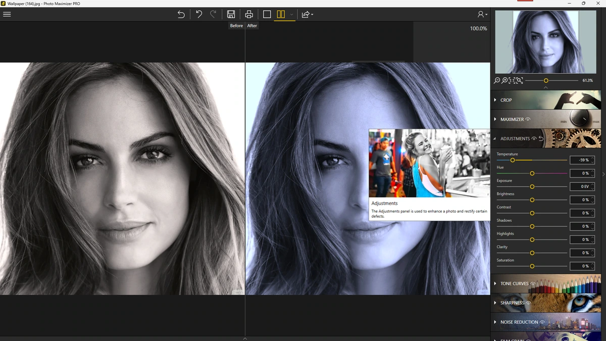 Качественное увеличение фото InPixio Photo Maximizer Pro 5.3.8624 by FC Portables — изображение 3