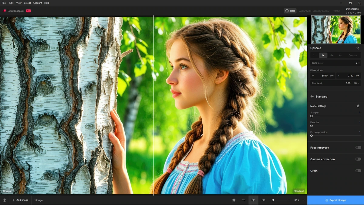 Качественное увеличение фото Topaz Gigapixel 1.0.3 + models by 7997 — изображение 3