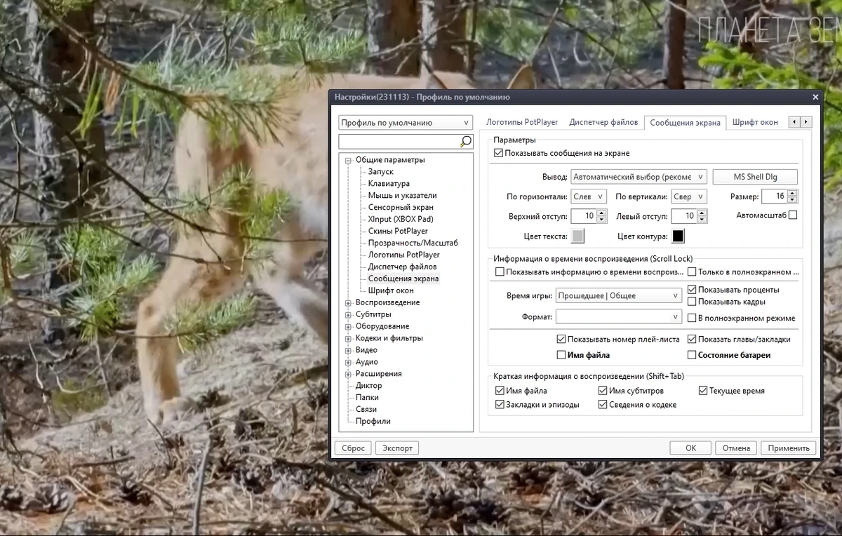 Качественное воспроизведение видео - PotPlayer 231113 (1.7.22038) Portable by 7997 — изображение 3