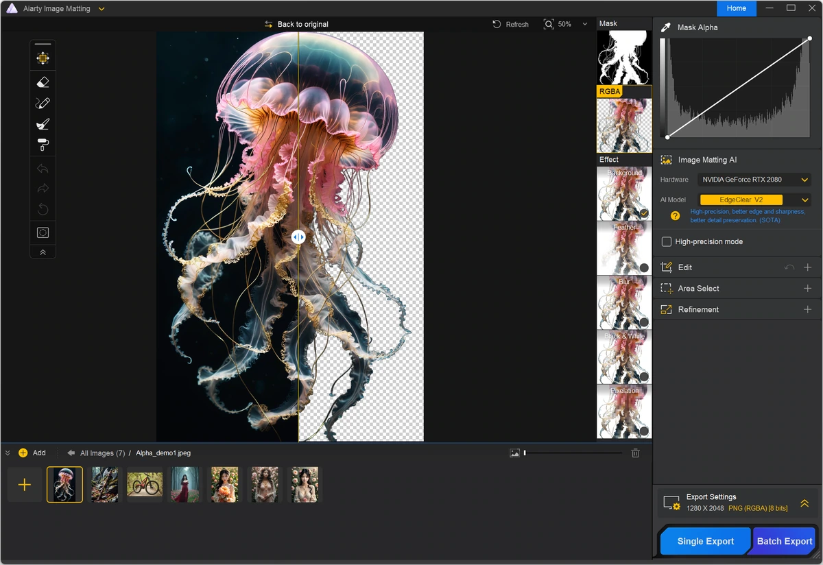 Aiarty Image Matting 2.6 — изображение 3
