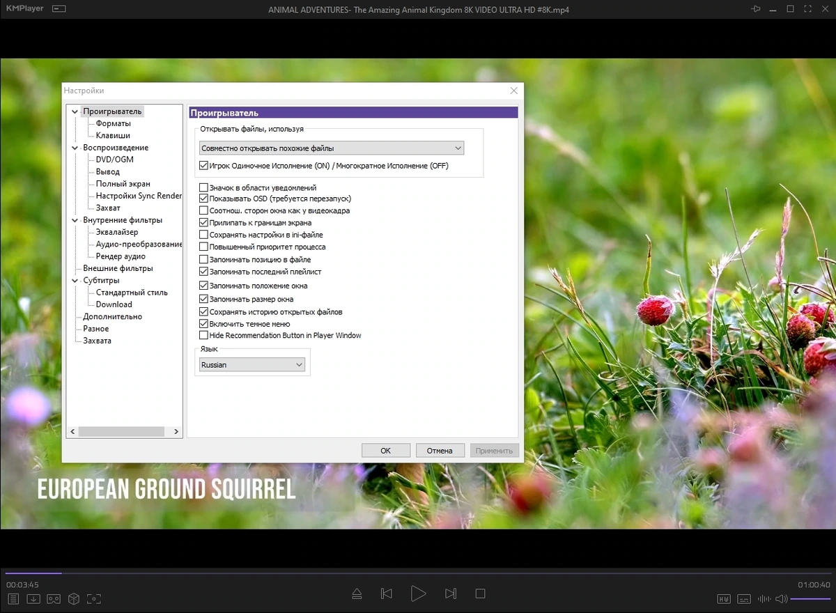KMPlayer 2024.4.25.13 (x64) Portable by 7997 — изображение 3