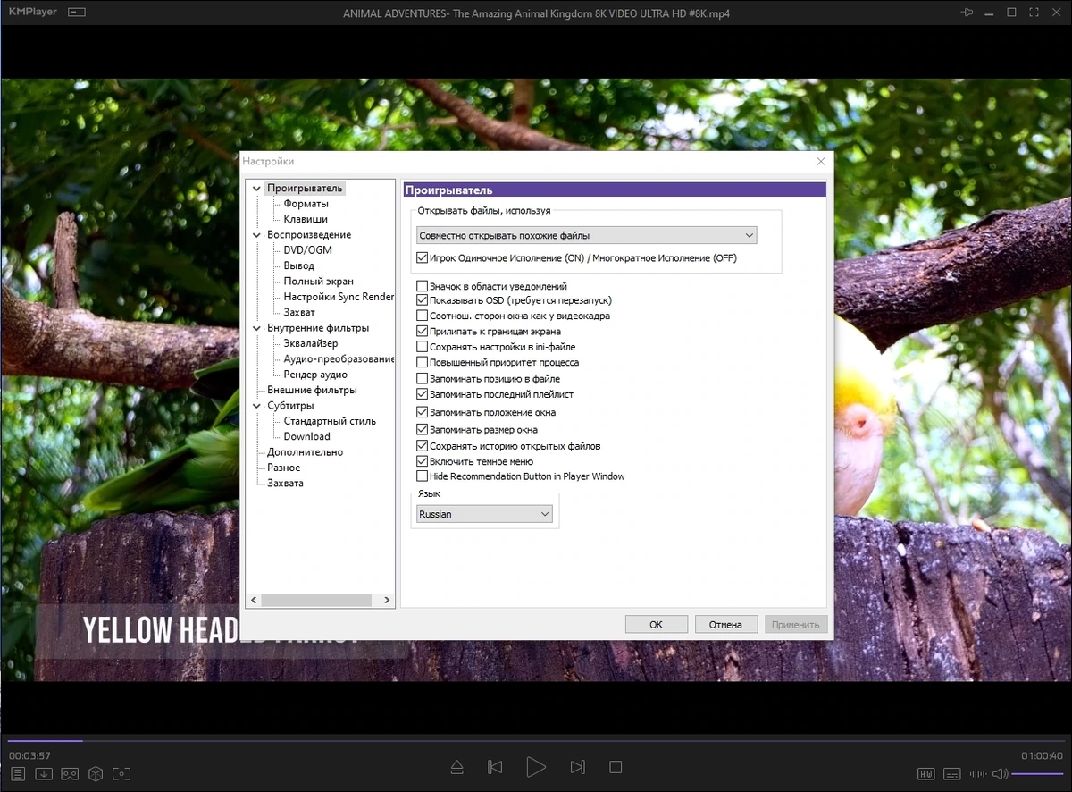 KMPlayer 2024.5.23.16 (x64) Portable by 7997 — изображение 3