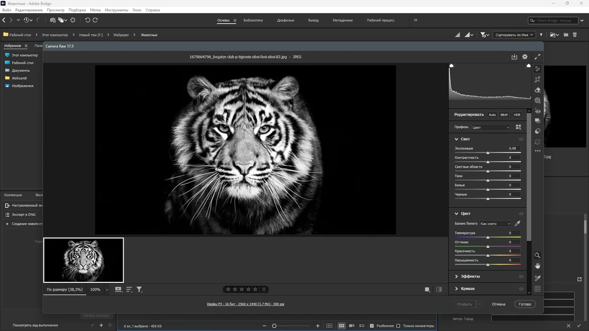 Комплексная обработка изображений Adobe Bridge 2025 15.1.2.737 by KpoJIuK — изображение 3